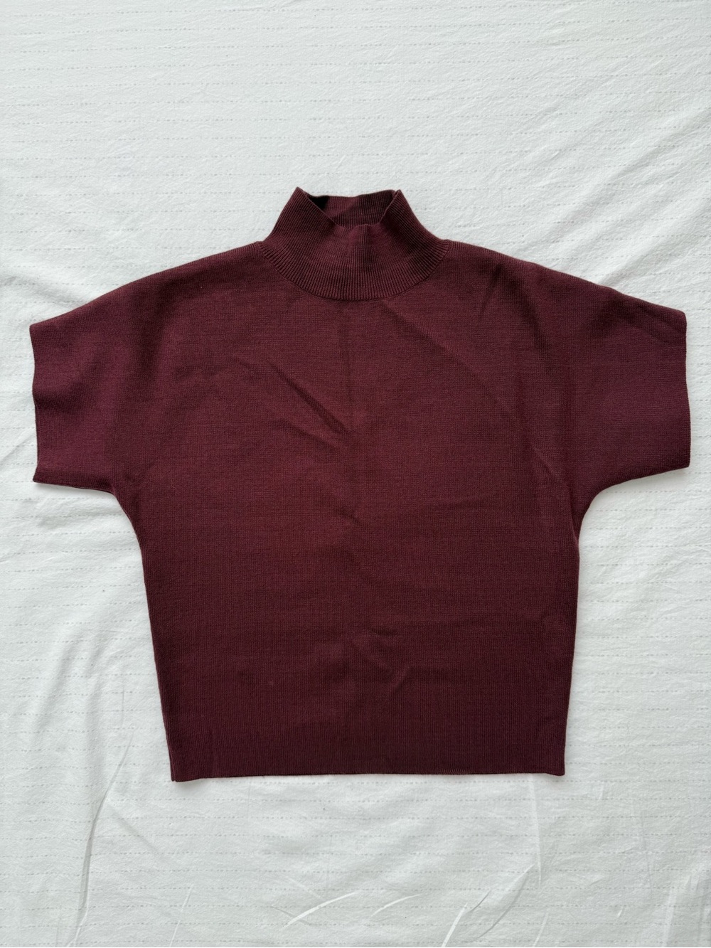 PROLOGUE Burgundy Turtleneck